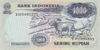 Beschrijving achterzijde: COW